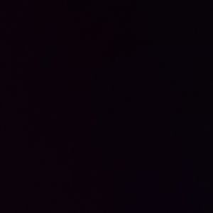 Meet your Posher, Shopboy sheed